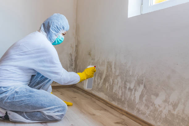 Commercial Mold Remediation assessment for commercial property in Barco